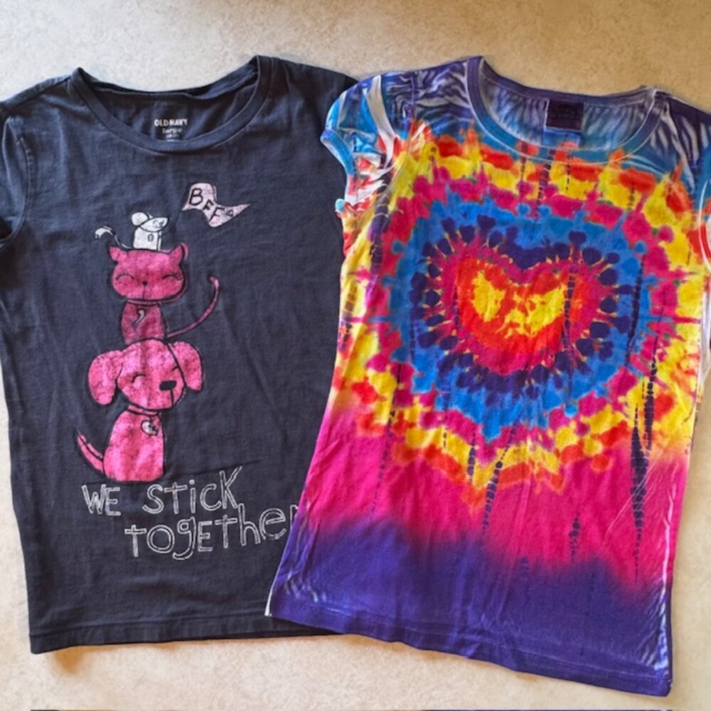 Old Navy & Ginger 2 T-shirts sz L 10-12